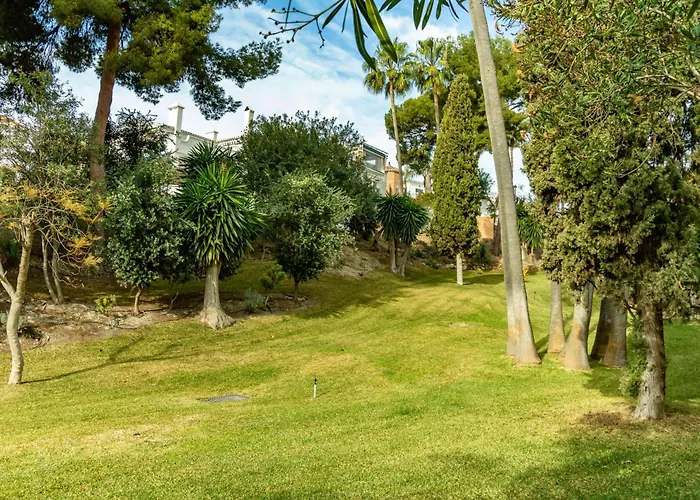 Palmas 4b Oasis