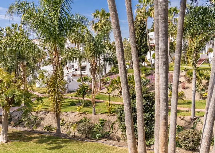 Palmas 4b Oasis