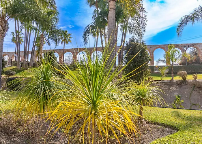 Palmas 4b Oasis